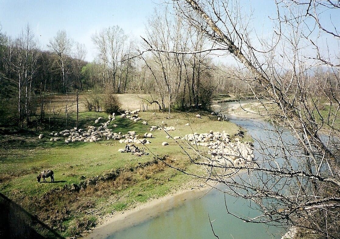 Parcul Național Domogled–Valea Cernei