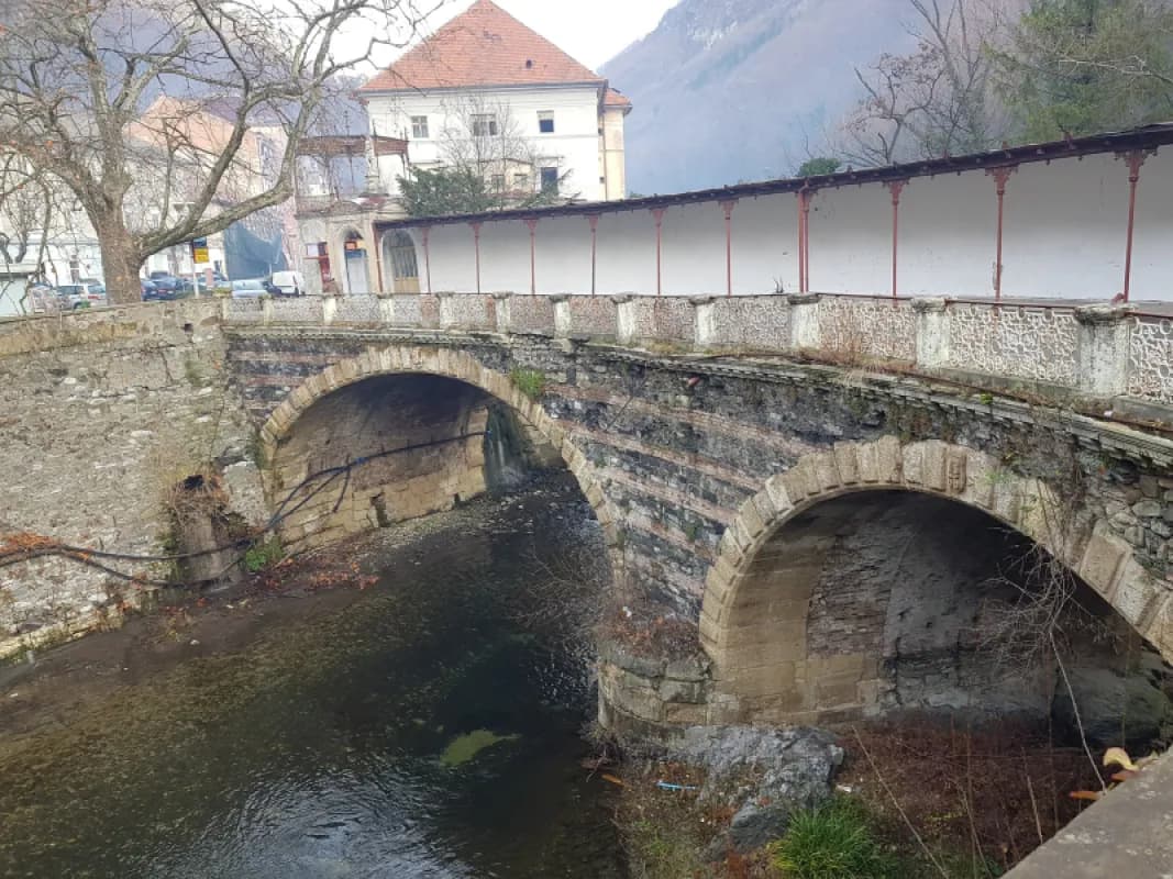 Băile Herculane