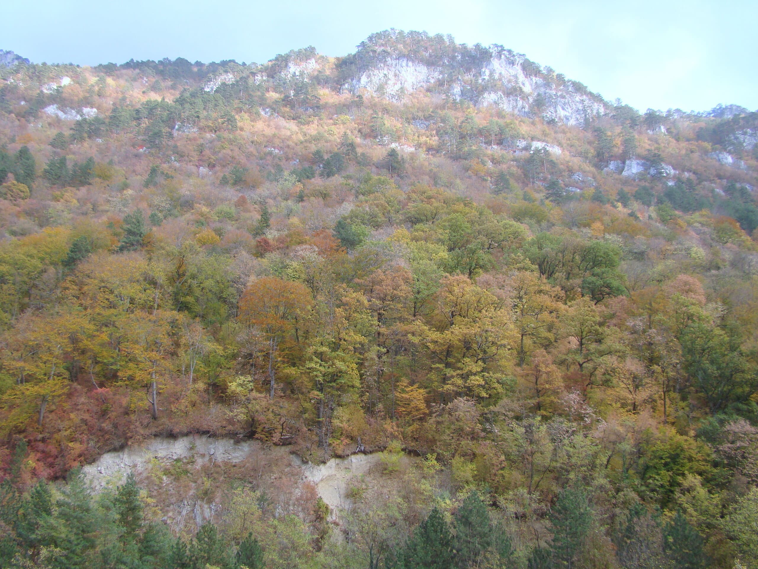 Peisaj din Băile Herculane / Valea Cernei (zonă de acces spre Cascada Vânturătoarea)