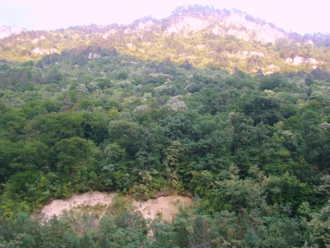 Parcul Național Domogled–Valea Cernei