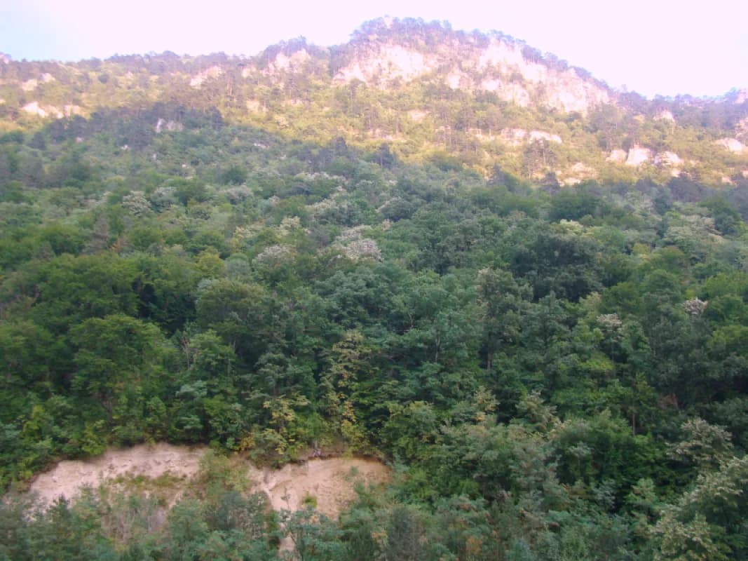 Parcul Național Domogled–Valea Cernei