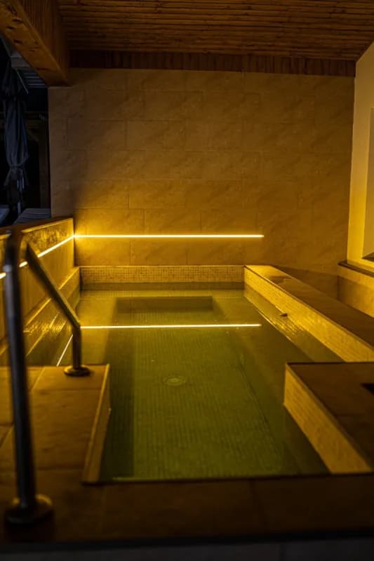 Hotel Artemis – Oază de Sănătate și Relaxare Absolută
